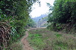 山路