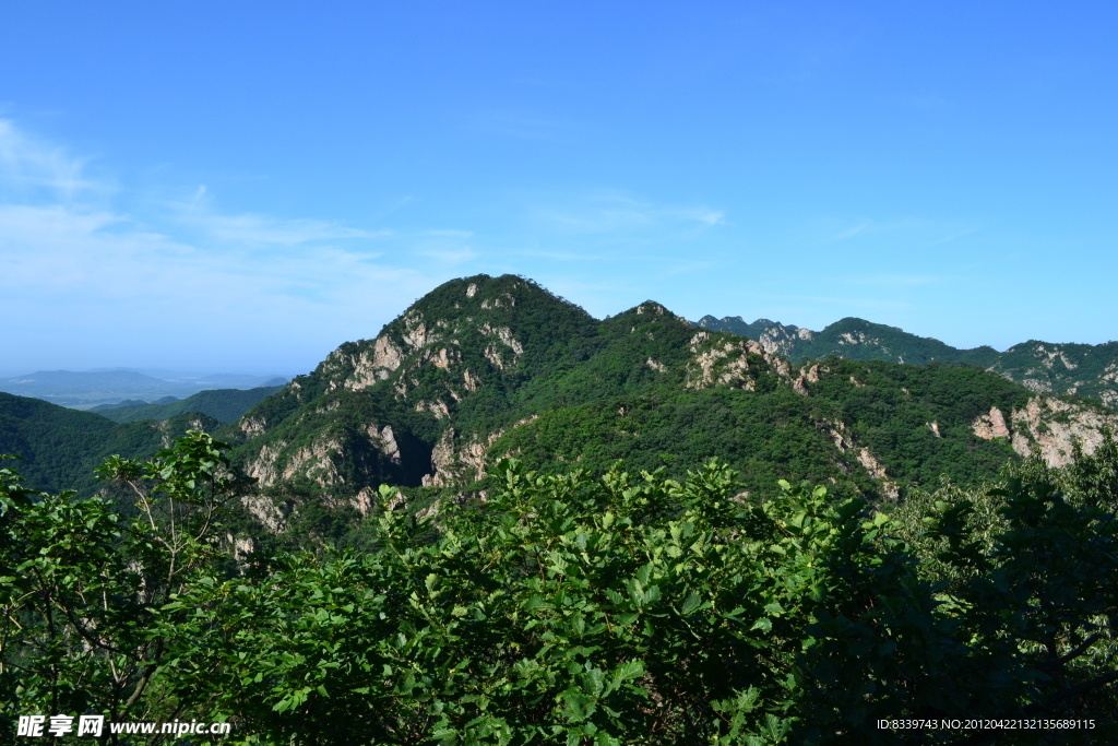 青山