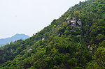 云露的山花