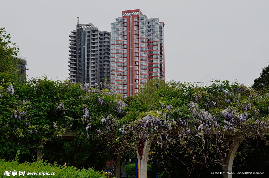 花园景观