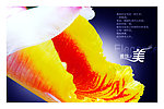 医疗墙