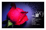 医疗展板