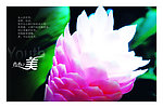 医疗宣传栏