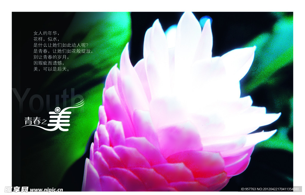医疗宣传栏