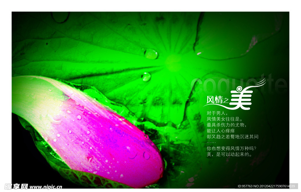 风情之美