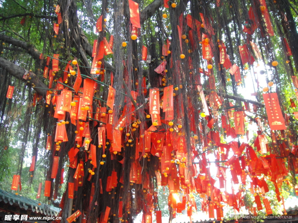 许愿树