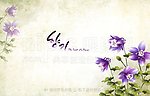 手绘花卉