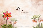手绘花卉