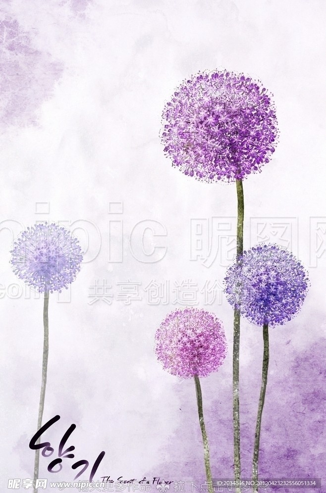 蒲公英