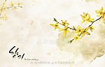 手绘花卉