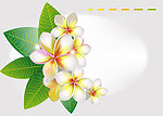 绿叶鲜花花卡