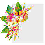 绿叶鲜花花卡