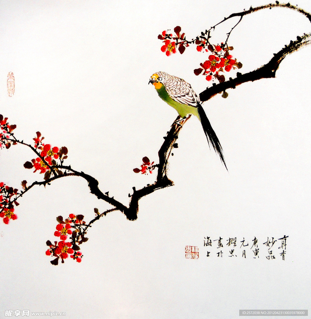 娇风杏花