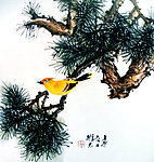 禽栖松枝头