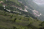 青山
