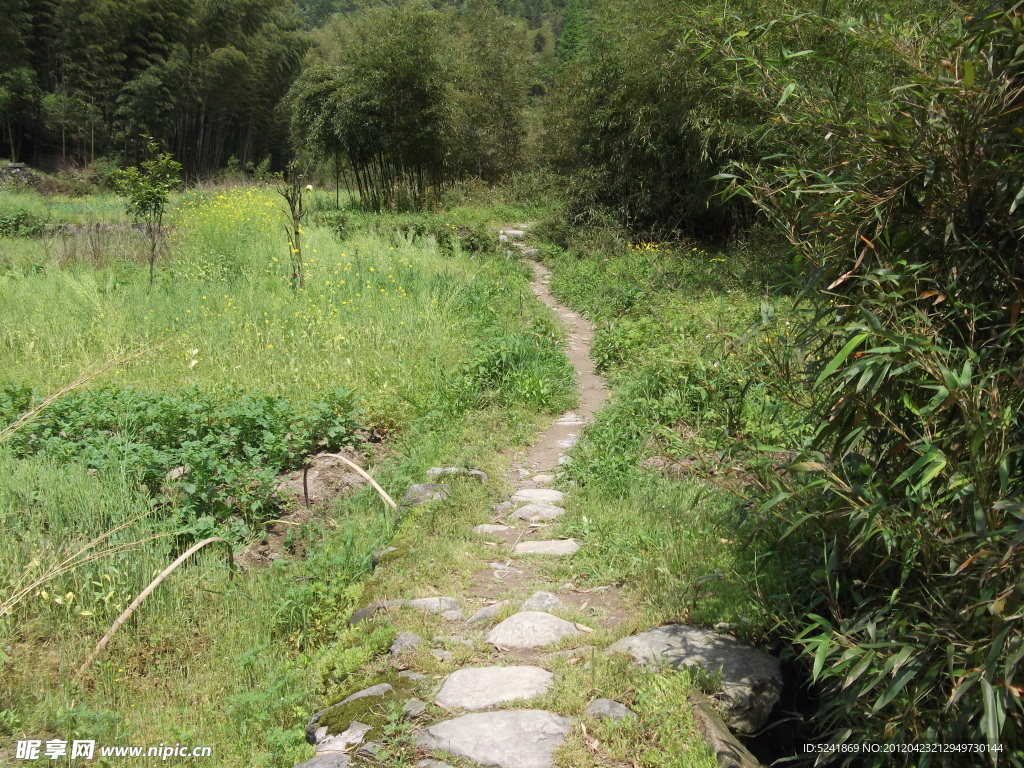 山间小路