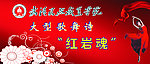 学校晚会幕布