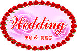 wedding牌玫瑰背景