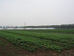 大棚