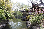 趵突泉一景