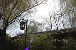 大明湖一景