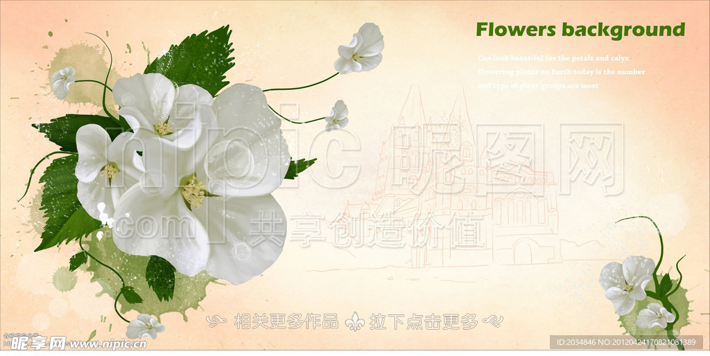 花卉插画