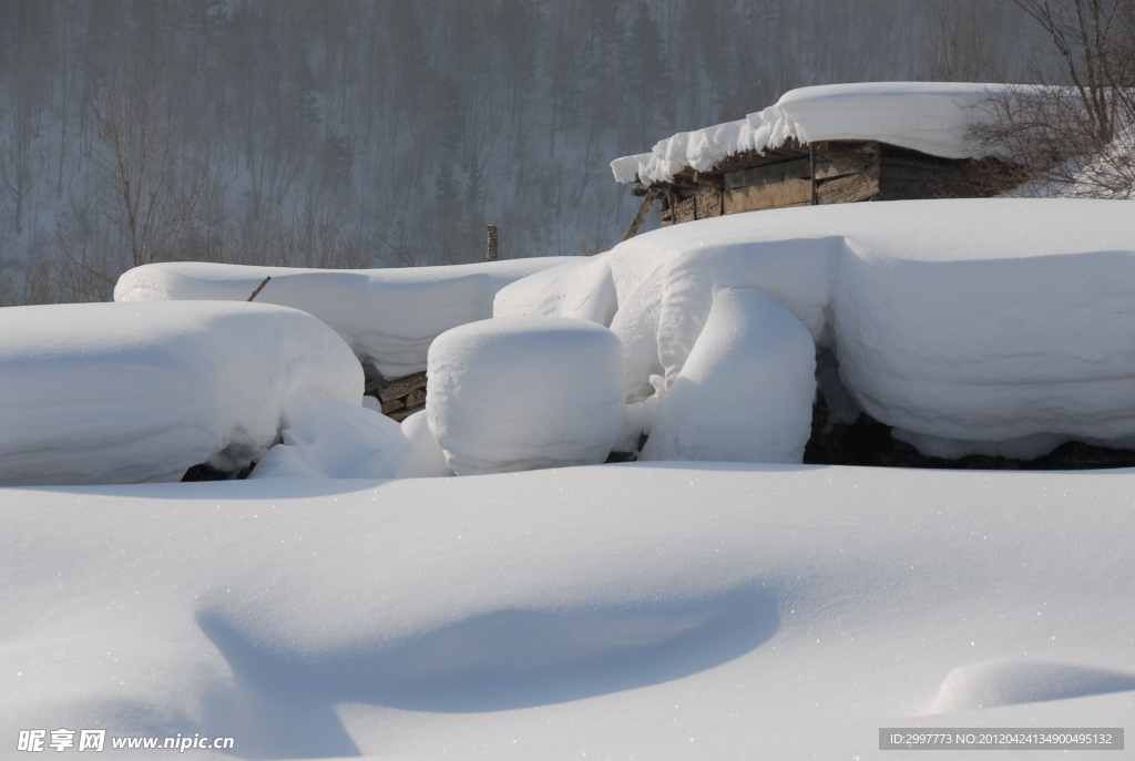 雪景