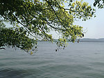 西湖风景