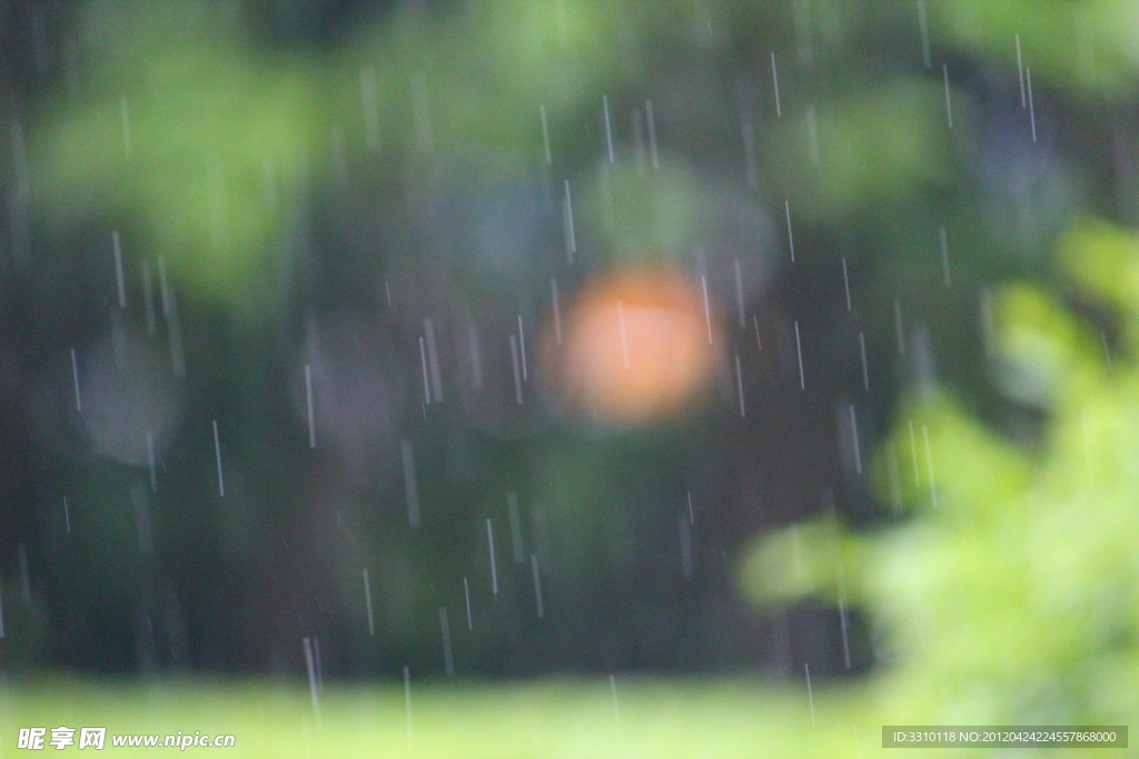 春雨