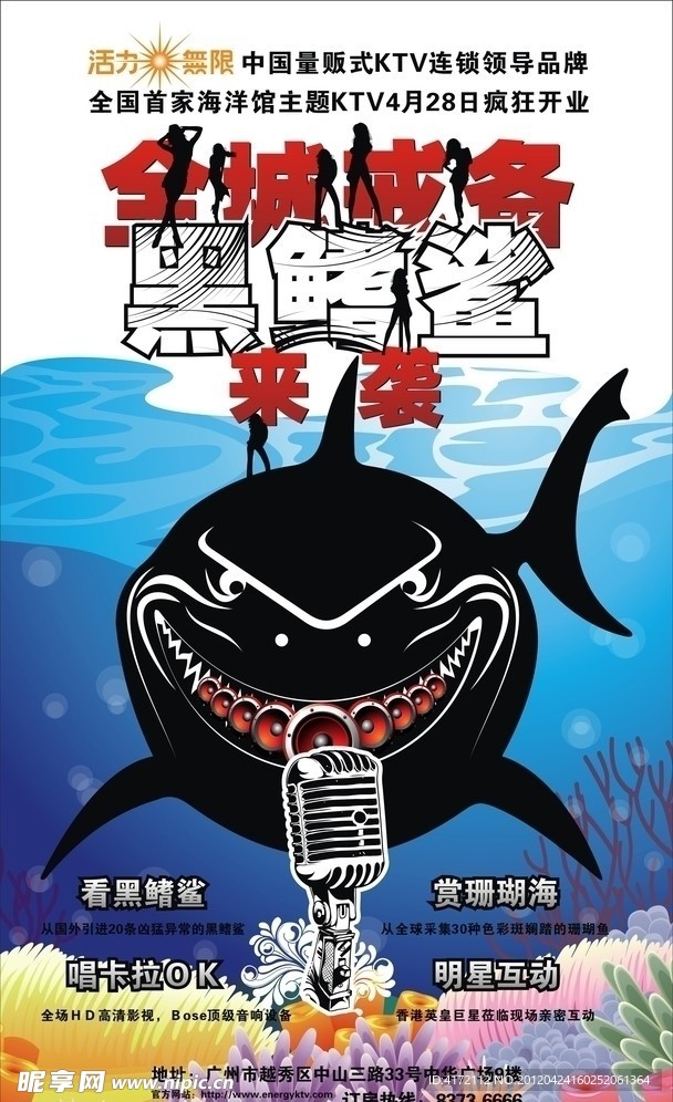 鲨鱼海报