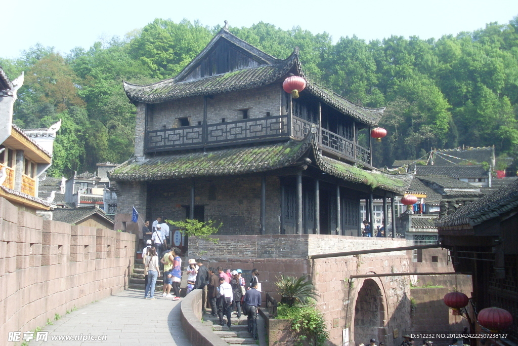 魅力凤凰