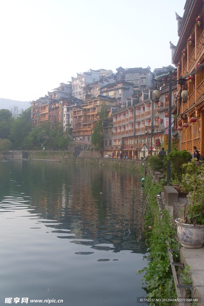 魅力凤凰