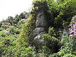 山石