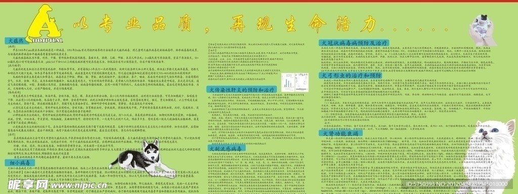 宠物动物医院宣传海报