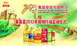 金龙鱼20年