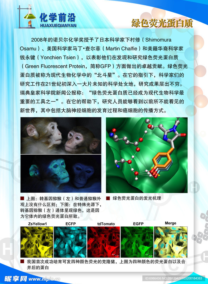 学校展板设计