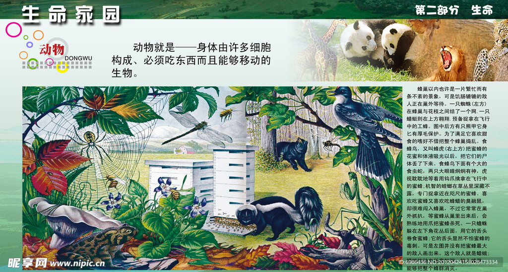 学校展板设计