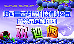 蓝莓展板