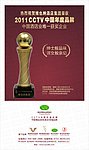 CCTV年度品牌电梯广告
