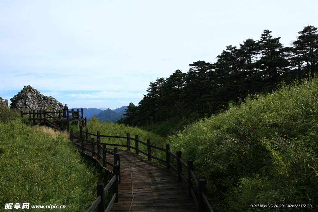 林荫山道