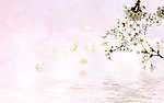 水上花