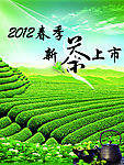 茶树