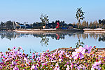 莲花湖
