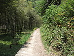 山间小径