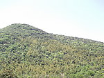 远山