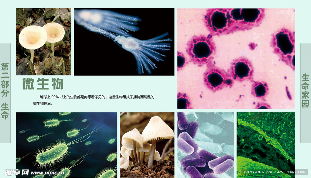 学校展板设计