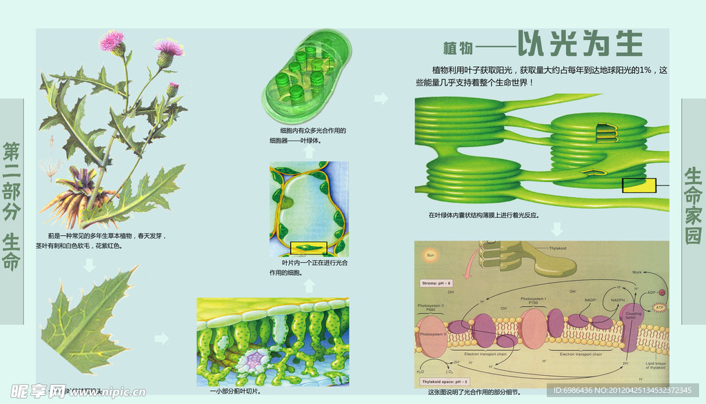 学校展板设计