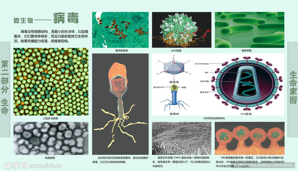 学校展板设计