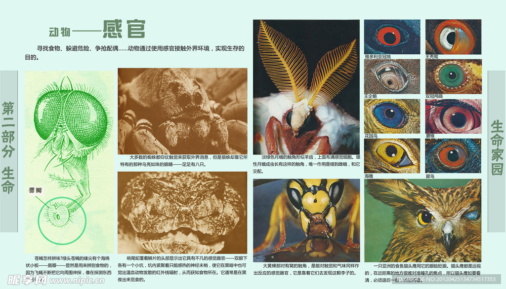 学校展板设计