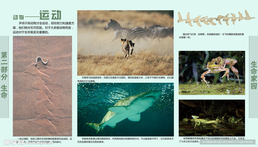 学校展板设计